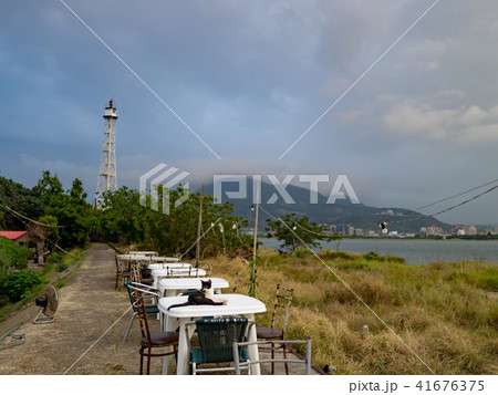 猫 ねこ ネコ 41676375