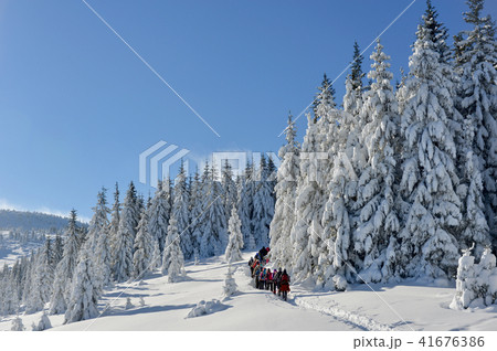 People in Winter trekking 41676386