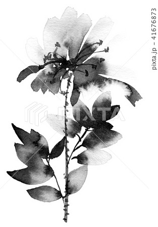 Black ink painted flower Black ink painted flower 41676873