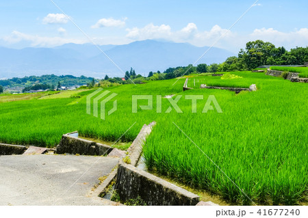 田園風景 (7月) 田園風景 (7月) 41677240