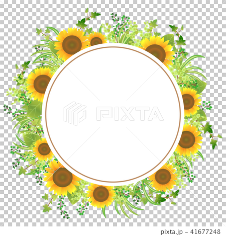 向日葵框架03 向日葵框架03 41677248
