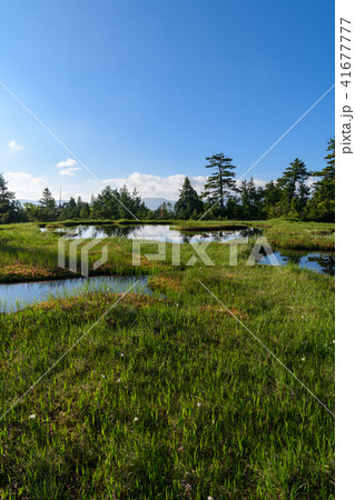初夏の広沢田代 初夏の広沢田代 41677777
