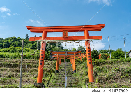 浮羽稲荷神社 浮羽稲荷神社 41677909