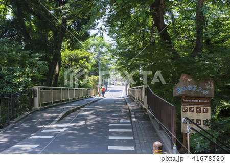 等々力渓谷入口 世田谷区 等々力渓谷入口 世田谷区 41678520