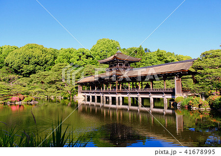 【京都】初夏の平安神宮・東神苑 青空と泰平閣(橋殿) 【京都】初夏の平安神宮・東神苑 青空と泰平閣(橋殿) 41678995