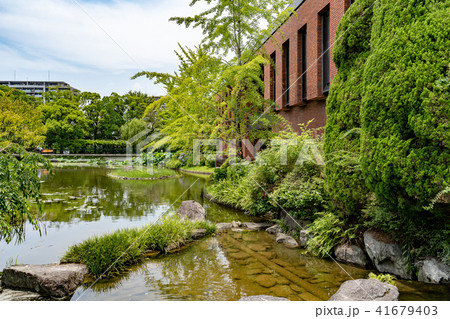 久留米市美術館裏の池 41679403