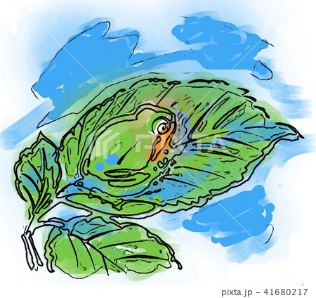 かえる かえる 41680217