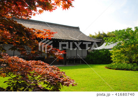 初夏の勧修寺のお堂 41680740