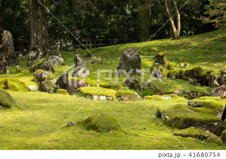 北畠氏館跡の庭園 41680754