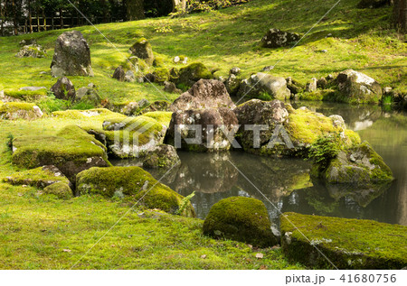 北畠氏館跡の庭園 41680756
