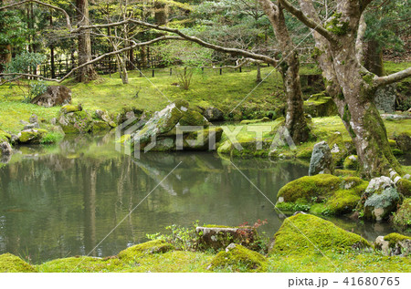北畠氏館跡の庭園 北畠氏館跡の庭園 41680765