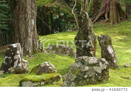 北畠氏館跡の庭園 北畠氏館跡の庭園 41680772