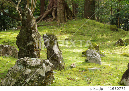 北畠氏館跡の庭園 北畠氏館跡の庭園 41680775
