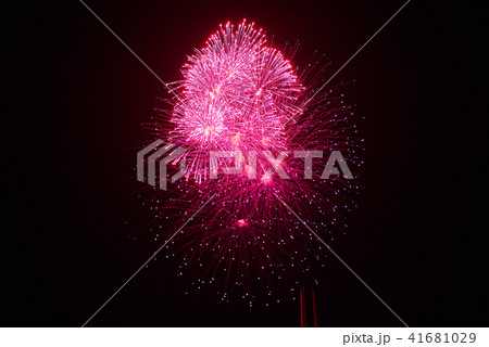 Inexpensive fireworks, over the city pink 41681029
