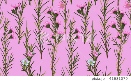 Seamless watercolor pink background of beautiful 41681079