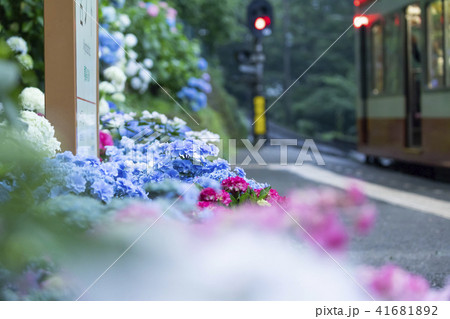 箱根登山鉄道　宮ノ下 41681892