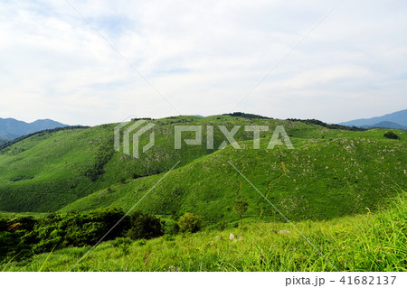秋吉台 カルスト台地 秋吉台 カルスト台地 41682137