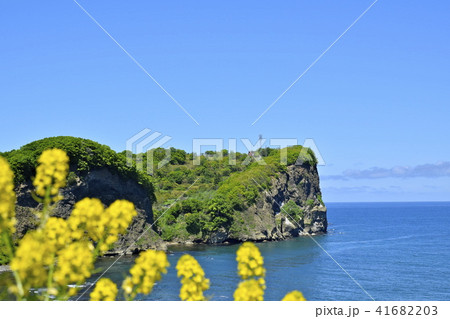 高台からの忍路半島 高台からの忍路半島 41682203