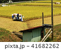 秋　刈入れ 41682262