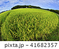 大地と空 41682357