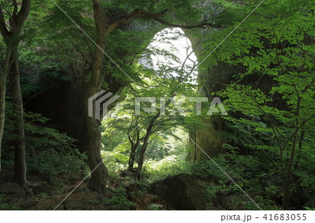 妙義山 第一石門 妙義山 第一石門 41683055