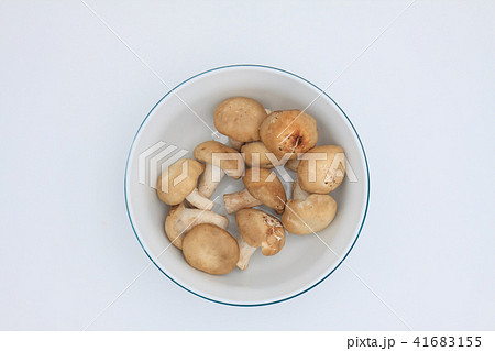 生シイタケ 食べ物 食物 41683155