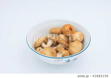 生シイタケ 食べ物 食物 41683156