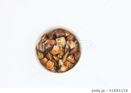 生シイタケ 食べ物 食物 41683158