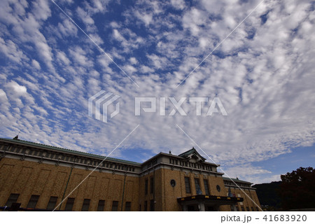 京都市美術館 41683920