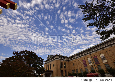 京都市美術館 京都市美術館 41683924