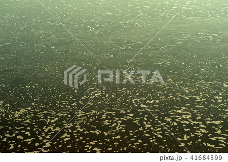 water surface with industrial pollution water surface with industrial pollution 41684399