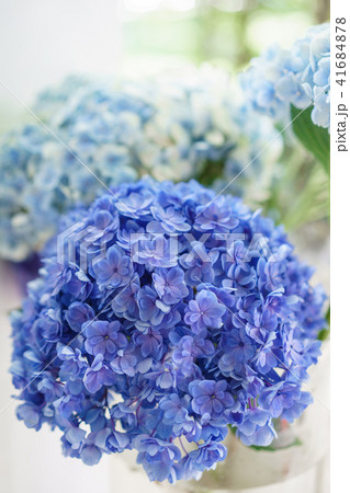 beautiful hydrangea flowers in a vase on a table . Bouquet of light blue. Decoration of home 41684878