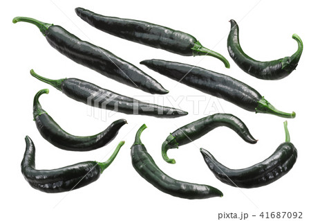 Chilaca Pasilla chile peppers, paths 41687092