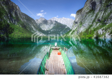 Meadow with cows in Berchtesgaden National Park Meadow with cows in Berchtesgaden National Park 41687382