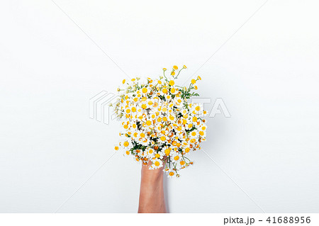 Hand holding a bouquet of daisies 41688956