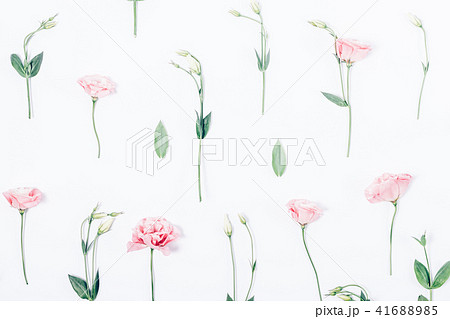 Floral pattern made of pink flowers Floral pattern made of pink flowers 41688985
