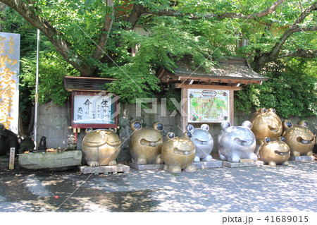 如意輪寺(かえる寺)(福岡県) 如意輪寺(かえる寺)(福岡県) 41689015