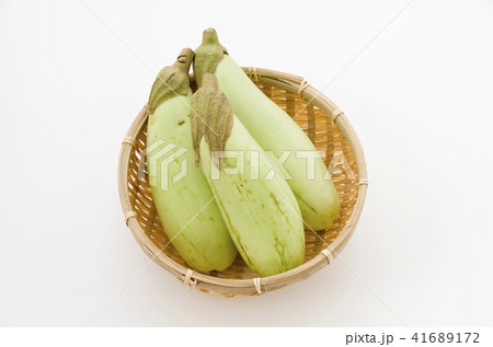 青茄子 青茄子 41689172