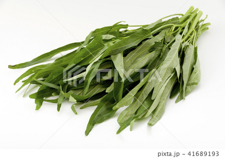 空心菜（クウシンサイ） 41689193