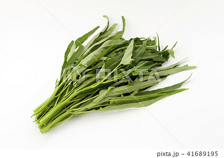 空心菜（クウシンサイ） 41689195