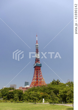 東京タワー/芝公園 東京タワー/芝公園 41690142