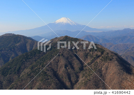 神奈川の鍋割山1200m付近から雨山越しに冬の富士山眺望 41690442