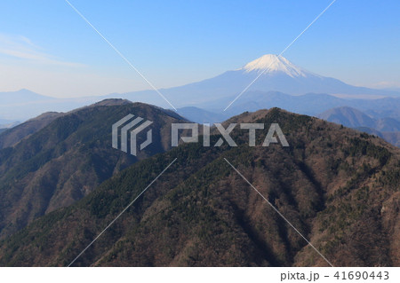 神奈川の鍋割山1200m付近から雨山越しに冬の富士山眺望 41690443