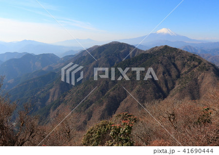 神奈川の鍋割山1200m付近から雨山越しに冬の富士山眺望 41690444