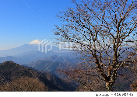 神奈川の鍋割山山頂から雨山越しに冬の富士山眺望 神奈川の鍋割山山頂から雨山越しに冬の富士山眺望 41690448