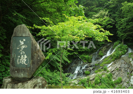 夢の滝 夢の滝 41693403