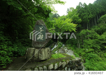 夢の滝 夢の滝 41693407