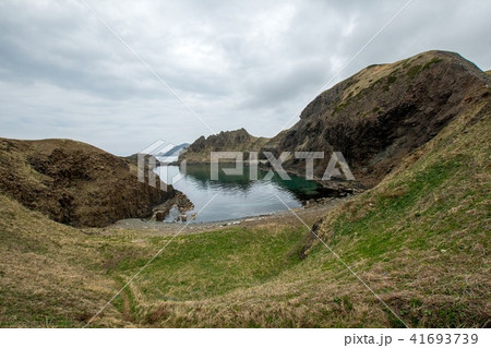 礼文島 澄海岬の写真素材