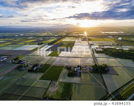 夕方の水田(空撮) 夕方の水田(空撮) 41694155