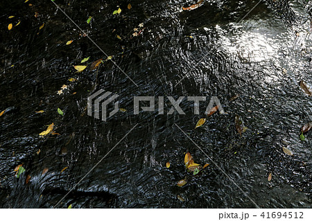 岳切渓谷 41694512